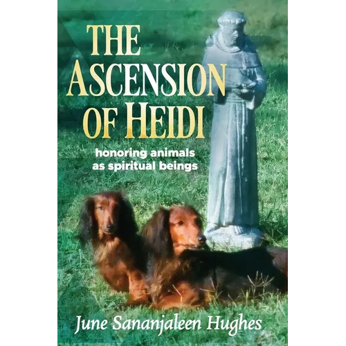 The Ascension of Heidi: A Longhaired Dachshund - Paperback