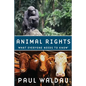 Animal Rights: What Everyone Needs to Know(r) - Paperback