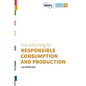 Transitioning to Responsible Consumption and Production - Hardcover