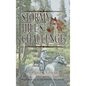 Stormy Hill's Challenge - Hardcover