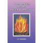 Burn Anger Before Anger Burns You - Paperback