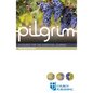 Pilgrim - The Beatitudes: A Course for the Christian Journey - Paperback