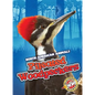 Pileated Woodpeckers - Library Binding
