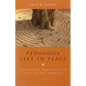 Pedagogy Left in Peace: Cultivating Free Spaces in Teaching and Learning - Paperback
