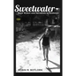 Sweetwater: Black Women and Narratives of Resilience - Paperback