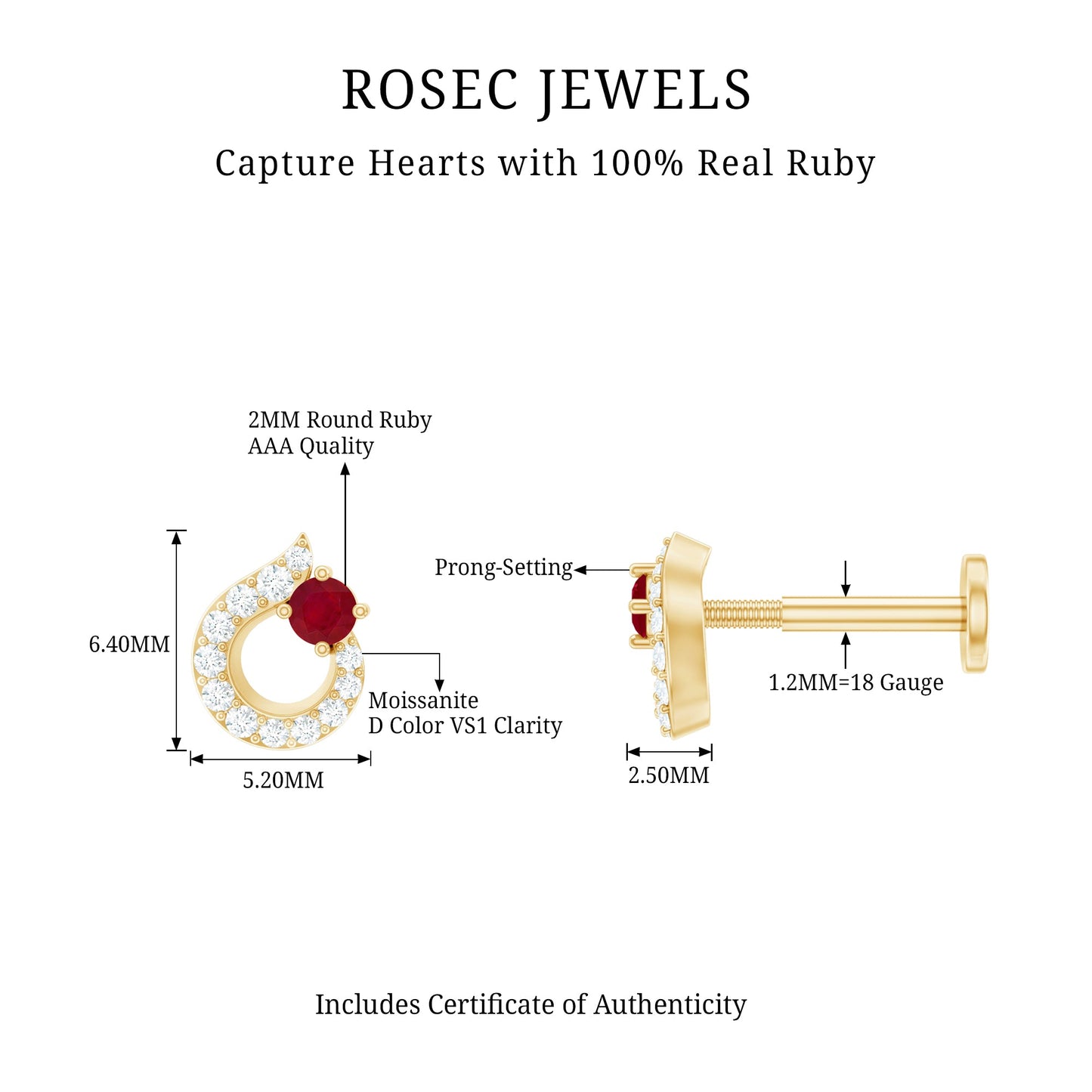 Round Ruby and Diamond Circle Helix Earring