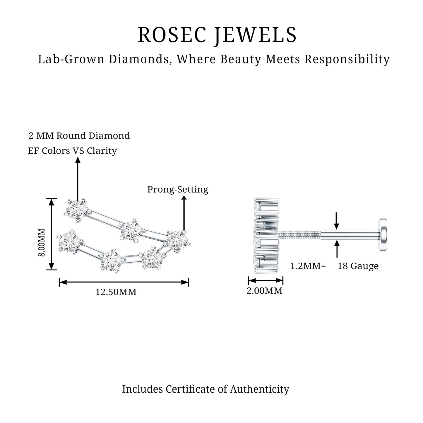 Diamond Capricorn Constellation Helix Piercing Earring