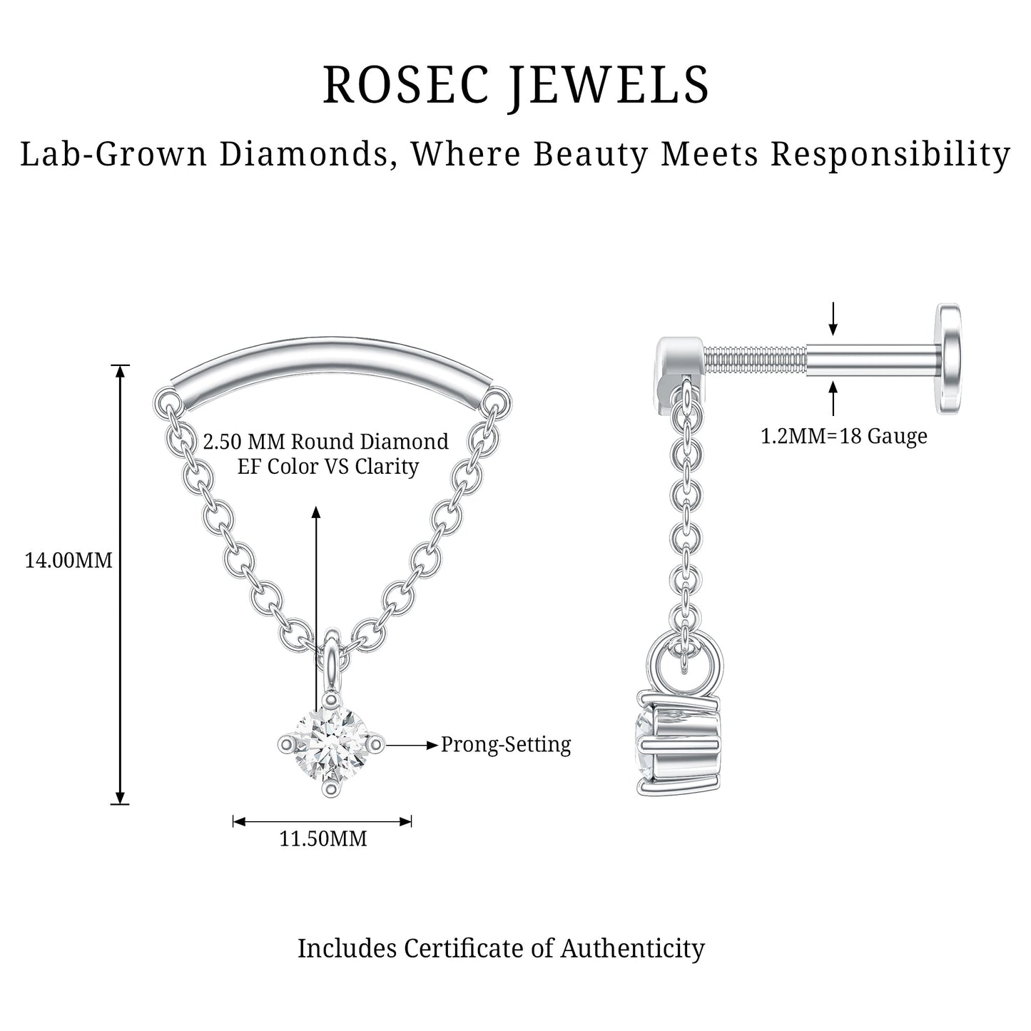 Single Diamond Hidden Helix Earring with Chain