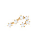 Diamond Cancer Zodiac Ear Crawler Earring