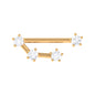 Certified Diamond Aries Zodiac Constellation Earring for Helix Piercing