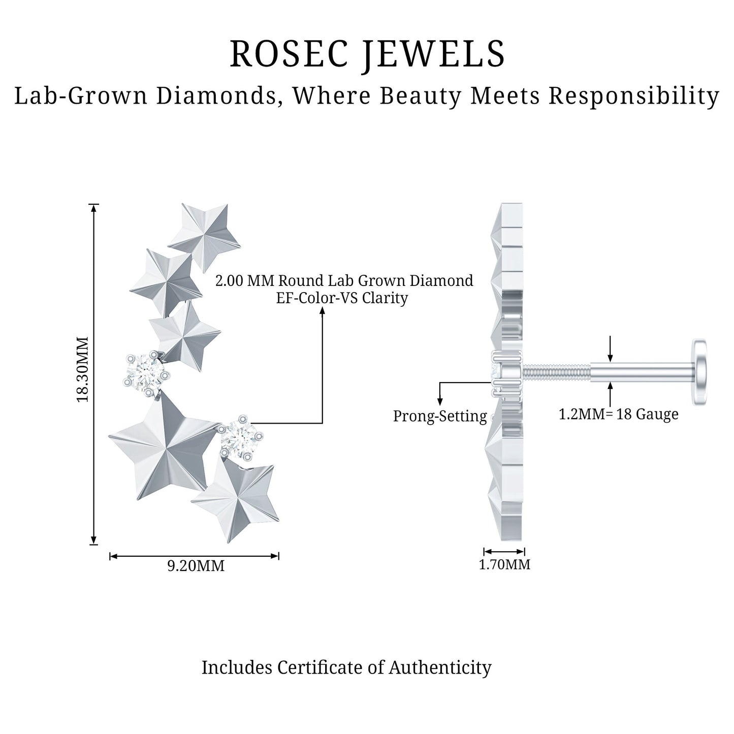 Diamond Star Celestial Crawler Earring