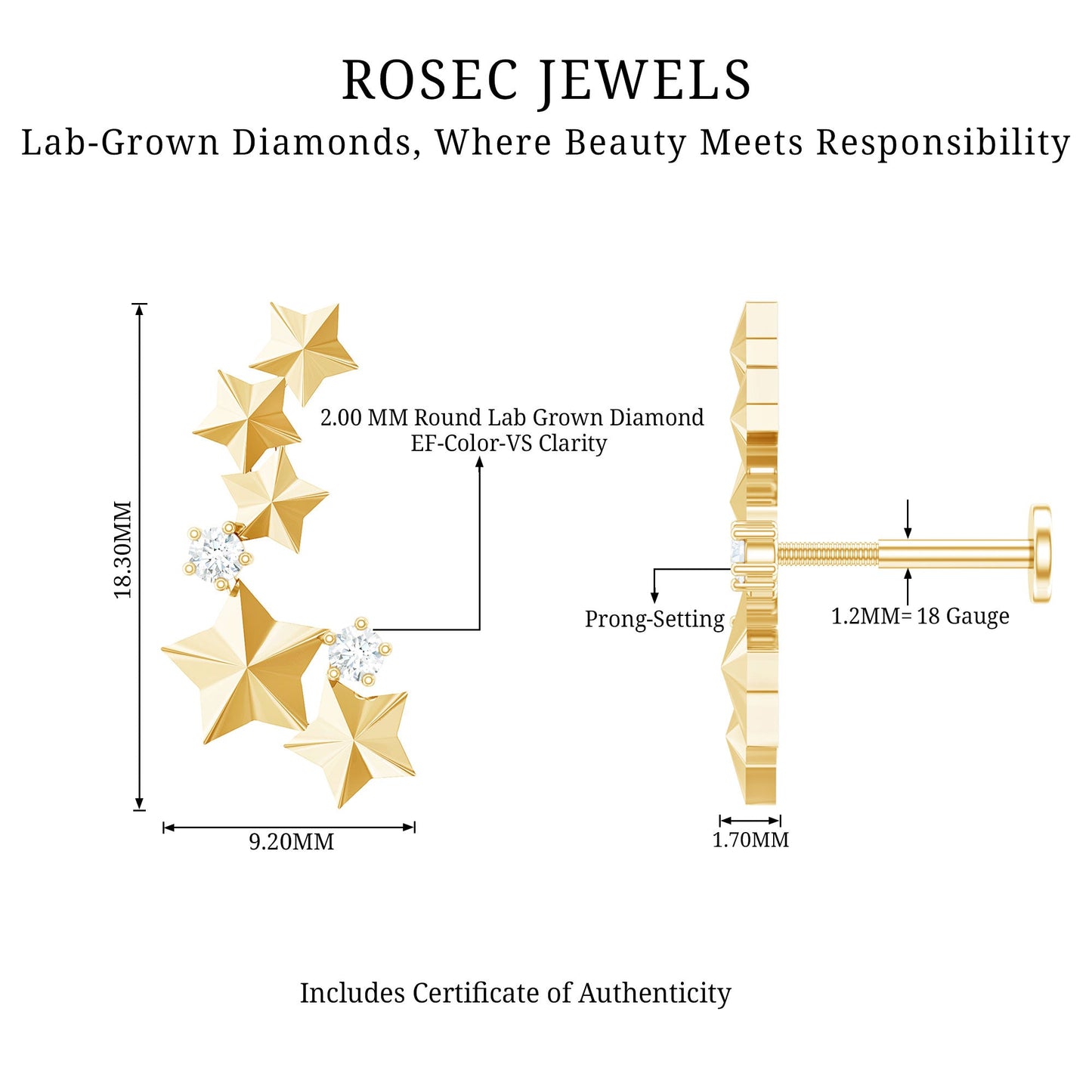 Diamond Star Celestial Crawler Earring