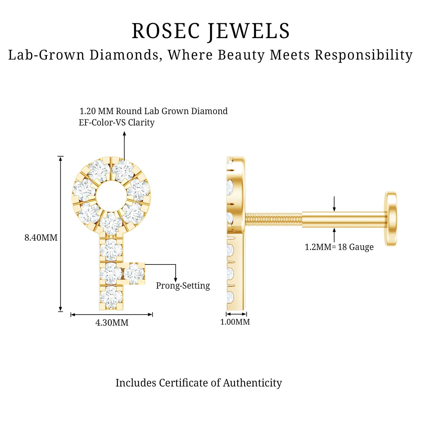 Diamond Key Shape Tragus Earring