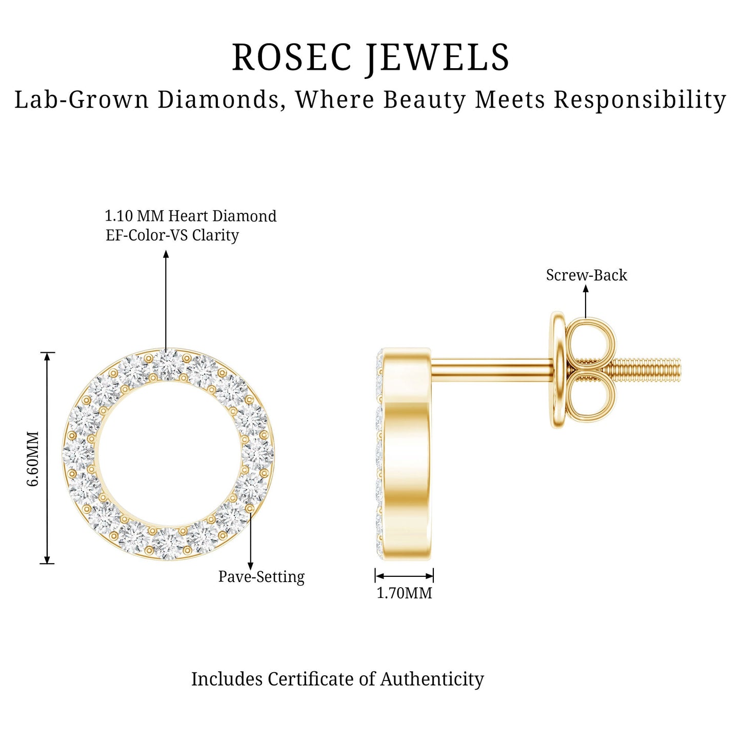 Lab Grown Diamond Circle Stud Earrings With Screw Back