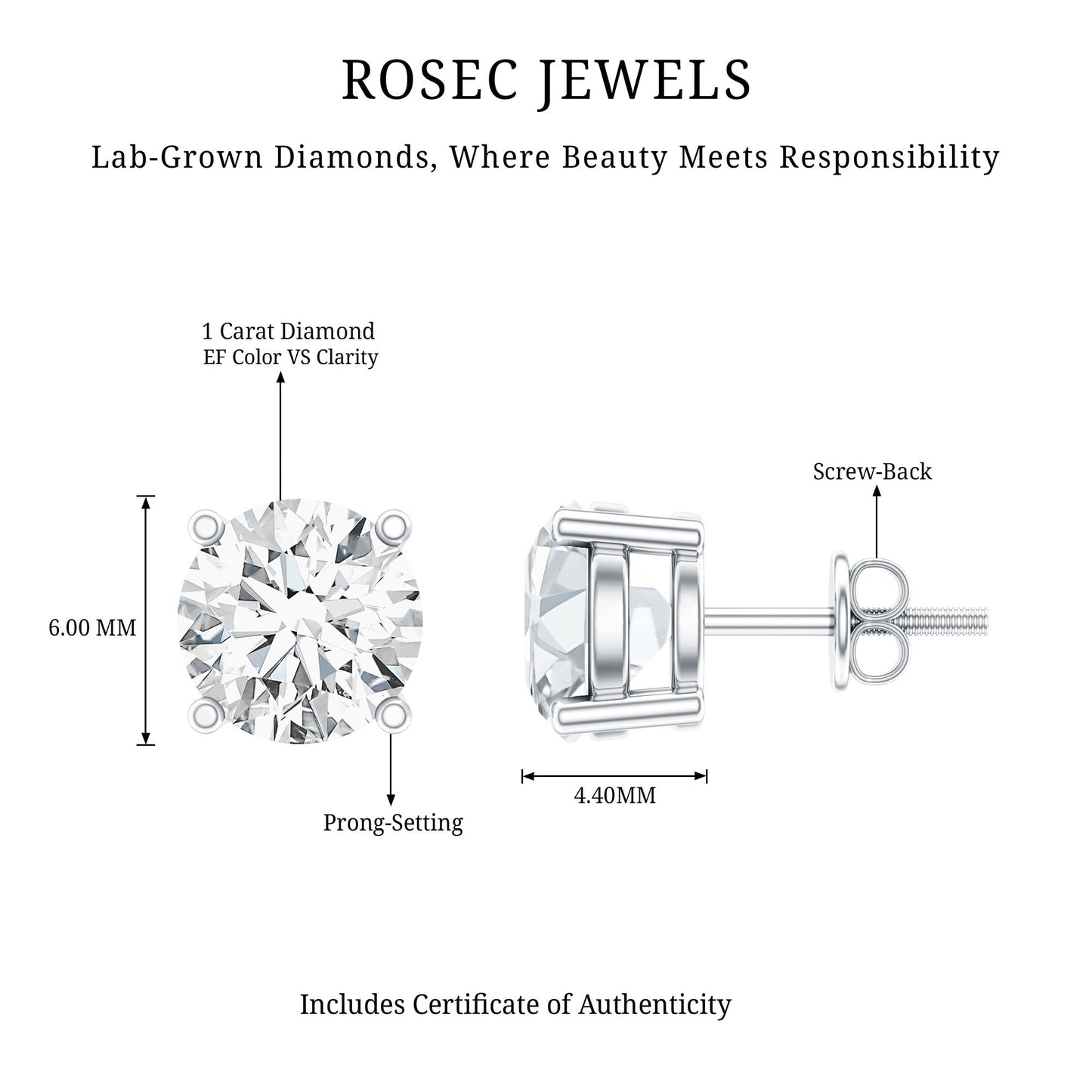 IGI Certified 2 Carat Round Lab Grown Diamond Stud Earrings with Screw Backs