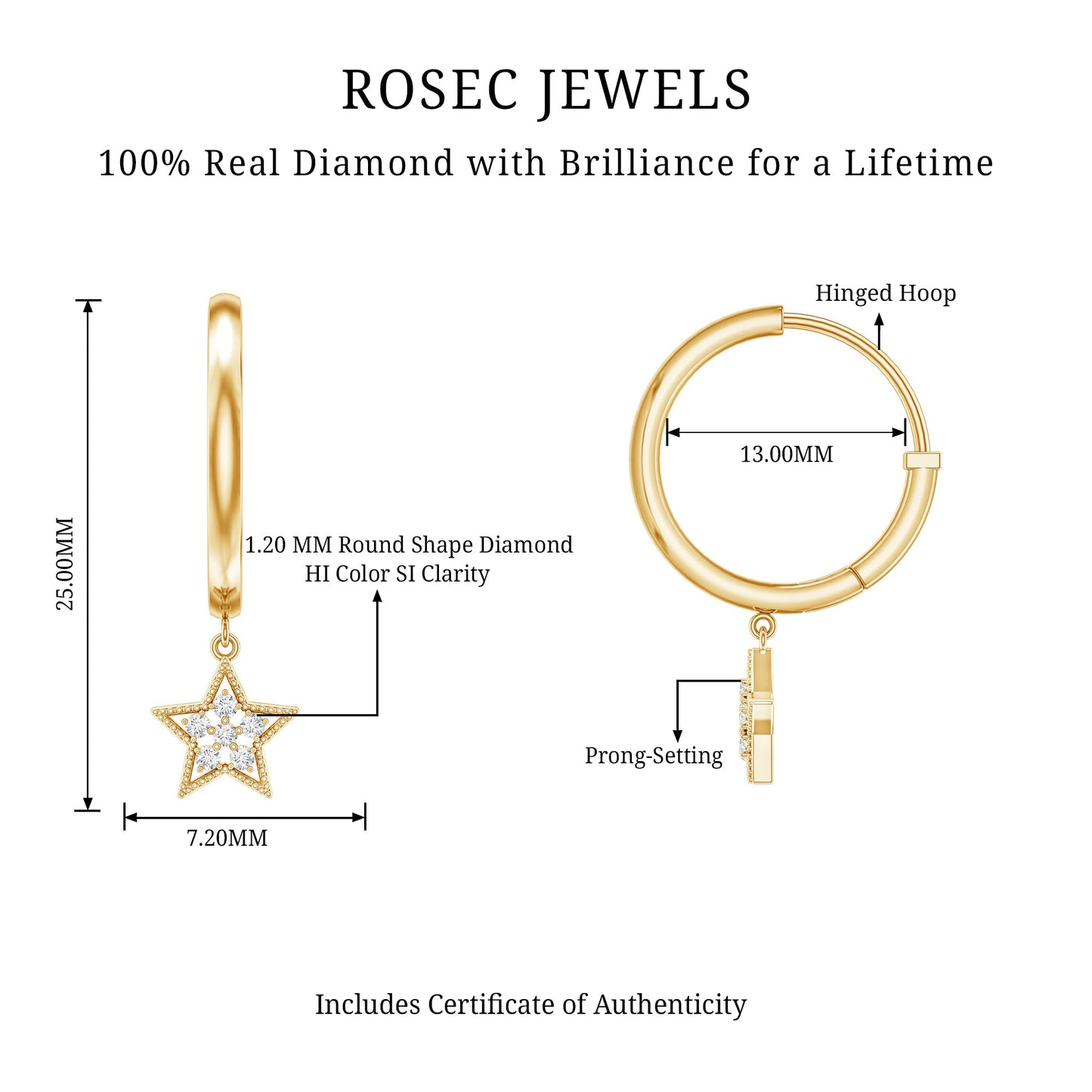 Diamond Star Drop Hoop Earrings