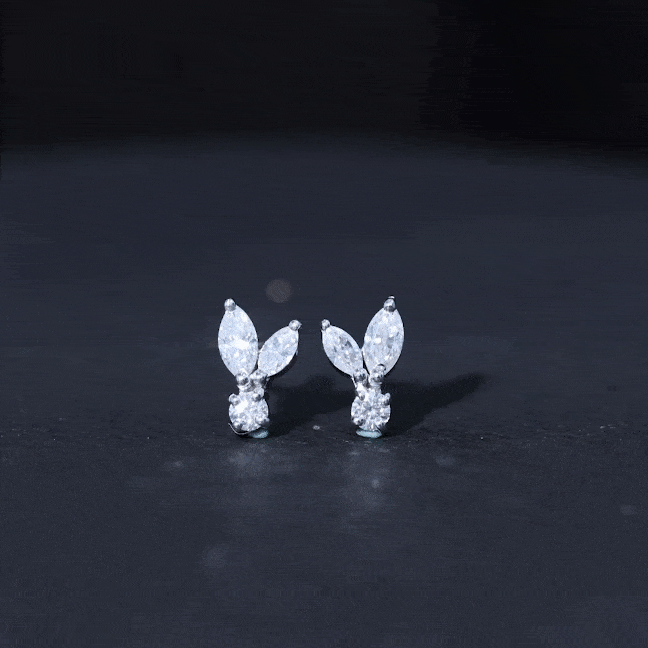 Certified Lab Grown Diamond Everyday Earrings With Screw Back