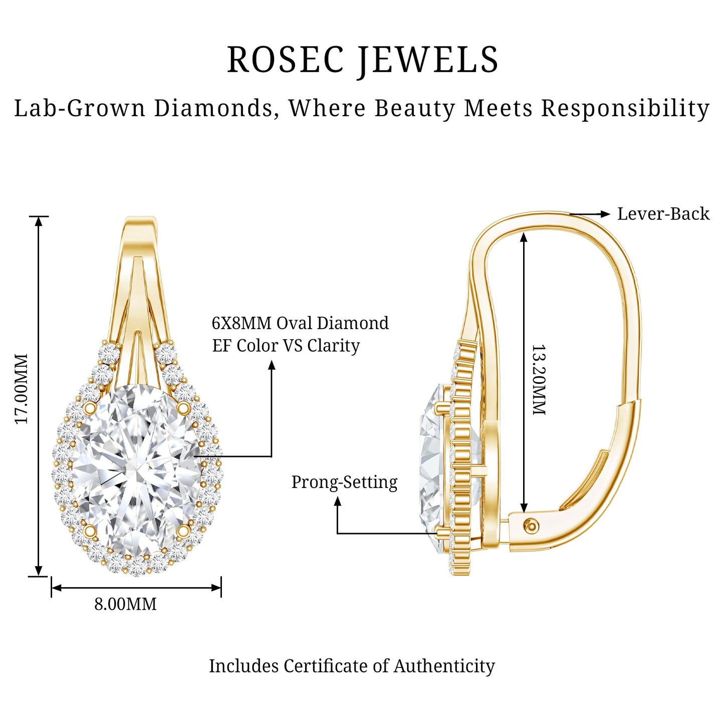 Certified 2.5 Carat Lab Grown Diamond Halo Designer Earrings