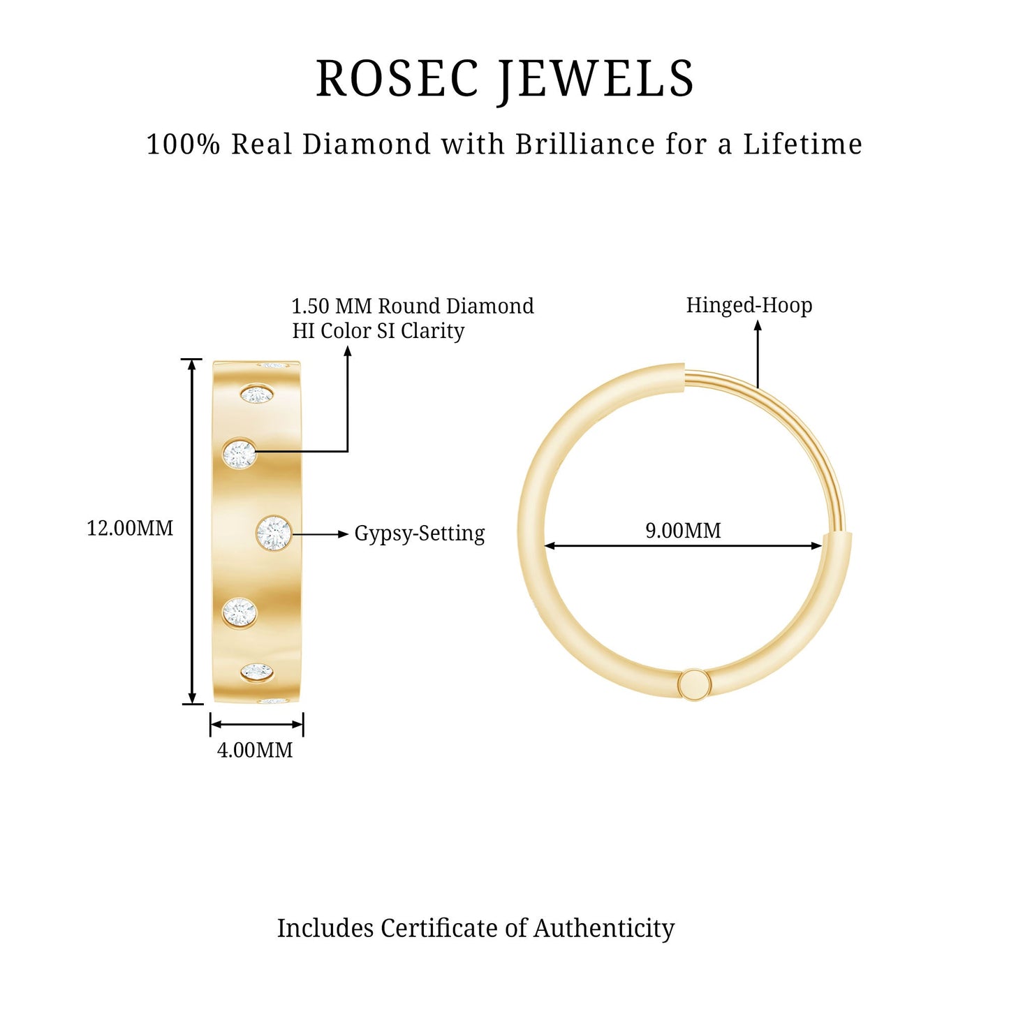 Flush Set Diamond Hoop Earrings For Women