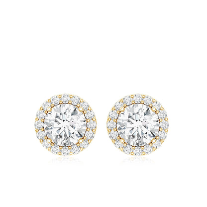 Certified Moissanite Halo Stud Earrings with Screw Back