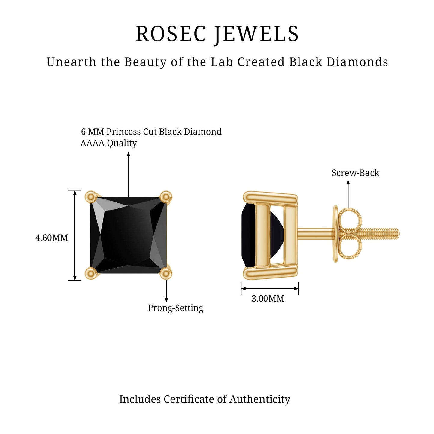 Princess Cut Lab Grown Black Diamond Solitaire Stud Earrings
