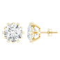 Brilliant Cut Moissanite Solitaire Stud Earrings in Decorative Setting