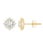 Classic Moissanite Stud Earrings with Halo
