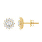 Certified Round Cut Moissanite Halo Stud Earrings for Women