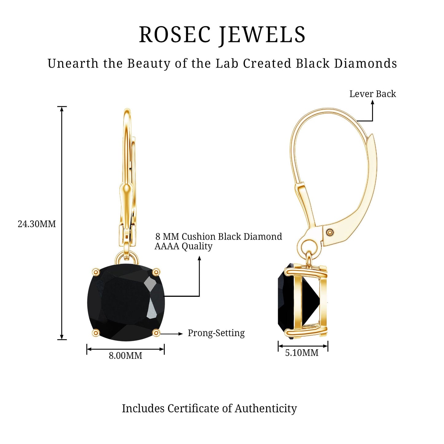 Lab Created Black Diamond Drop Earrings with Lever Back