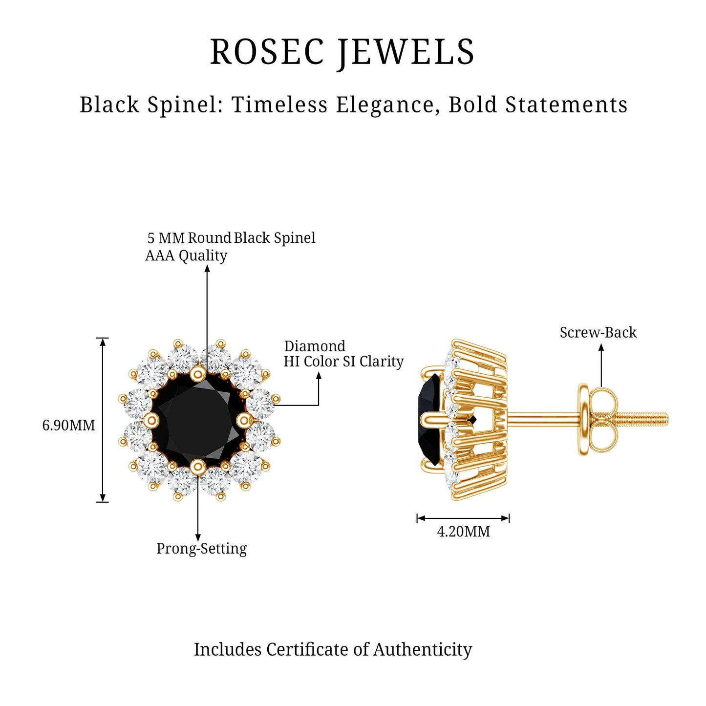 Natural Black Spinel Diamond Stud Earrings with Screw Back