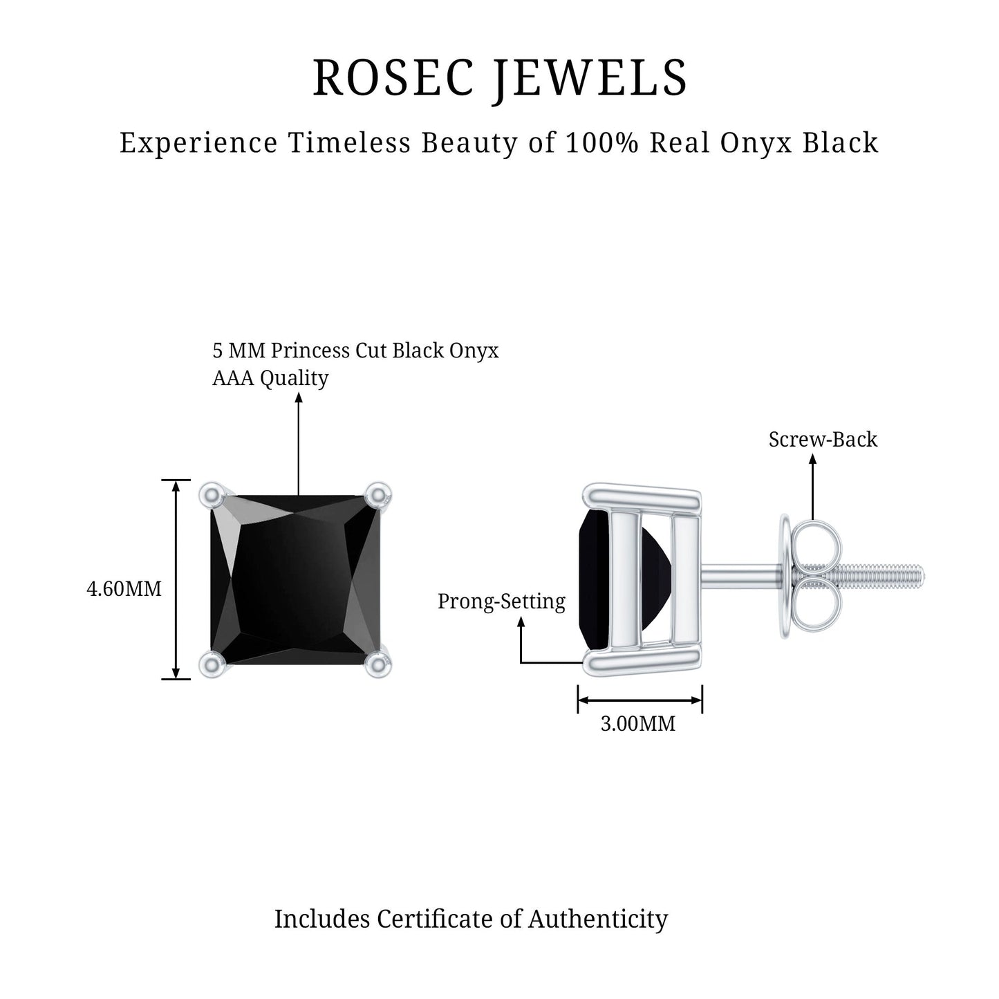 Natural Black Onyx Princess Cut Earrings with Screw Back