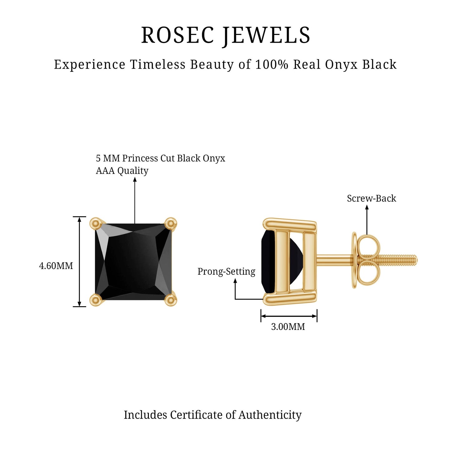 Natural Black Onyx Princess Cut Earrings with Screw Back