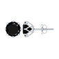 Natural 2.4 Carat Black Onyx Earrings with Screw Back