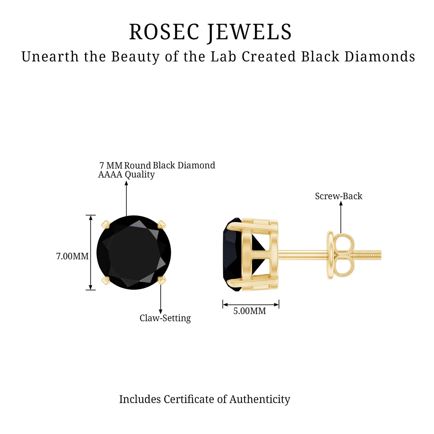 Round shape Lab Grown Black Diamond Solitaire Stud Earrings
