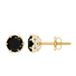 Lab Created Black Diamond Stud Earrings with White Diamonds