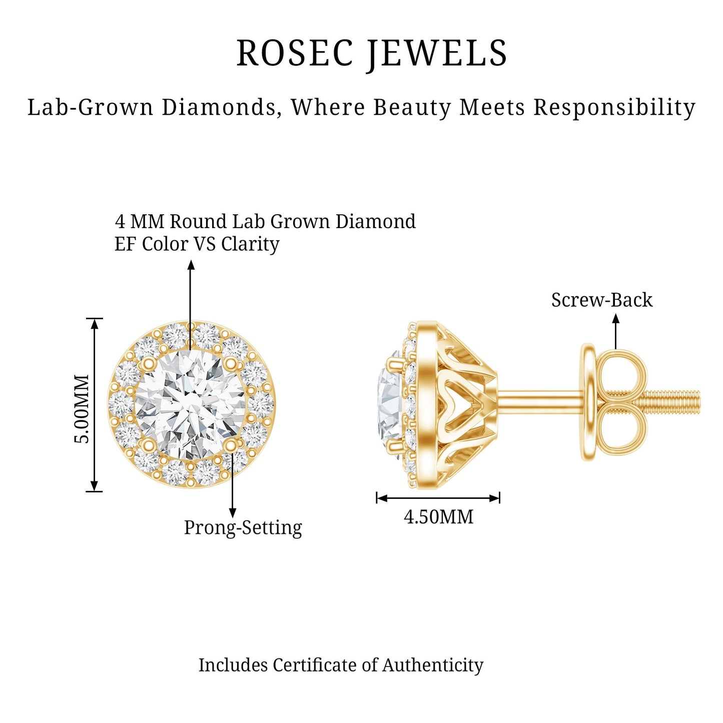 0.64 CTW Lab Grown Diamond Halo Stud Earrings (4mm, Screw Back)