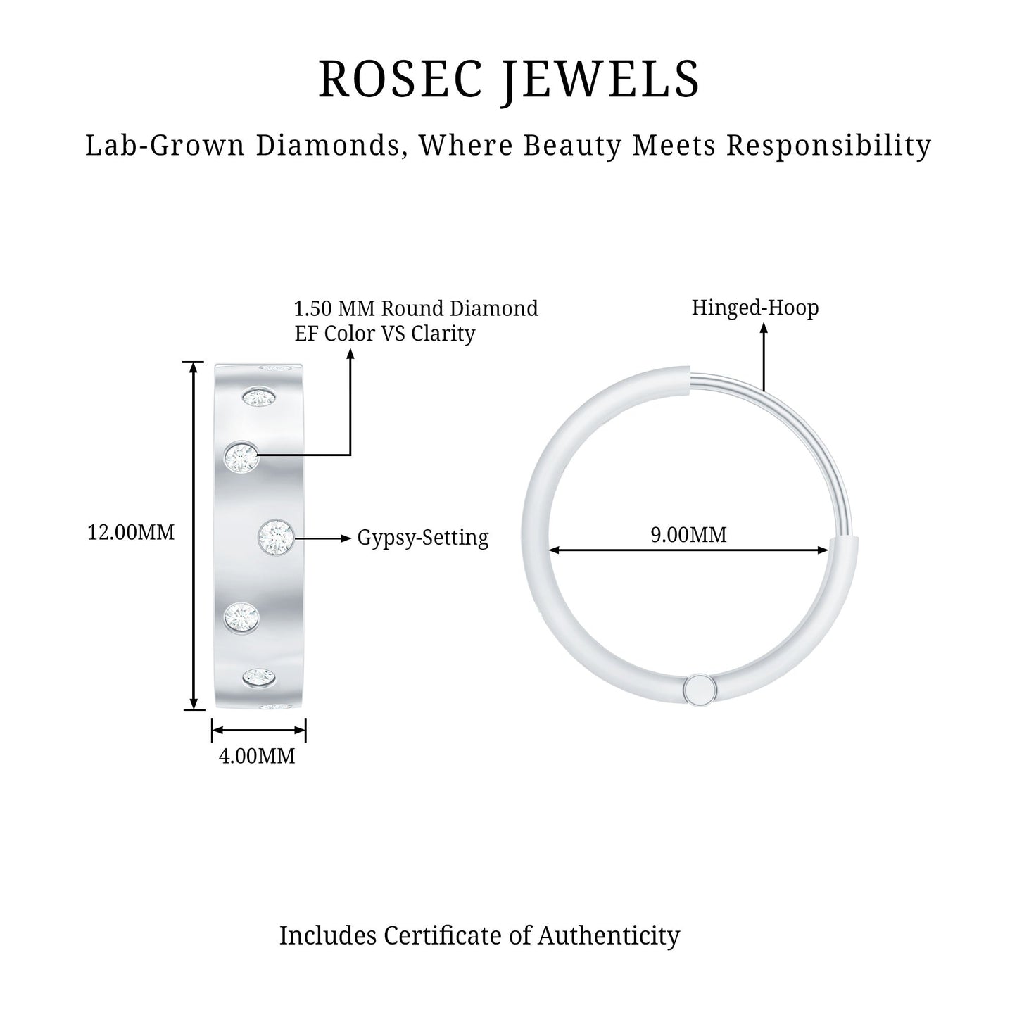 Flush Set Diamond Hoop Earrings For Women