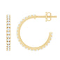 Certified Moissanite Hoop Earrings