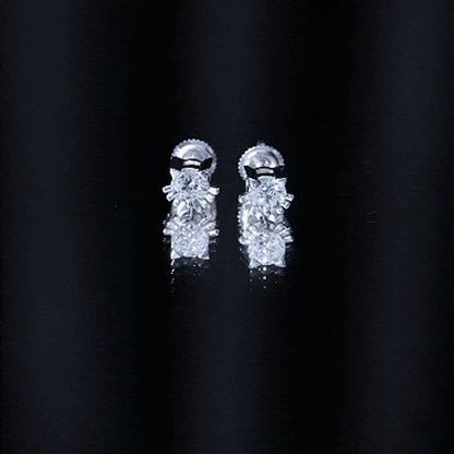 1 CT Solitaire Moissanite Cat Stud Earrings with Screw Back