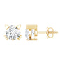 1 CT Solitaire Moissanite Cat Stud Earrings with Screw Back