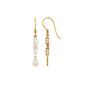 Round and Oval Cut Moissanite Dangle Earrings