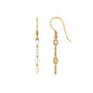 Womens Moissanite Dangle Earrings with Fish Hook