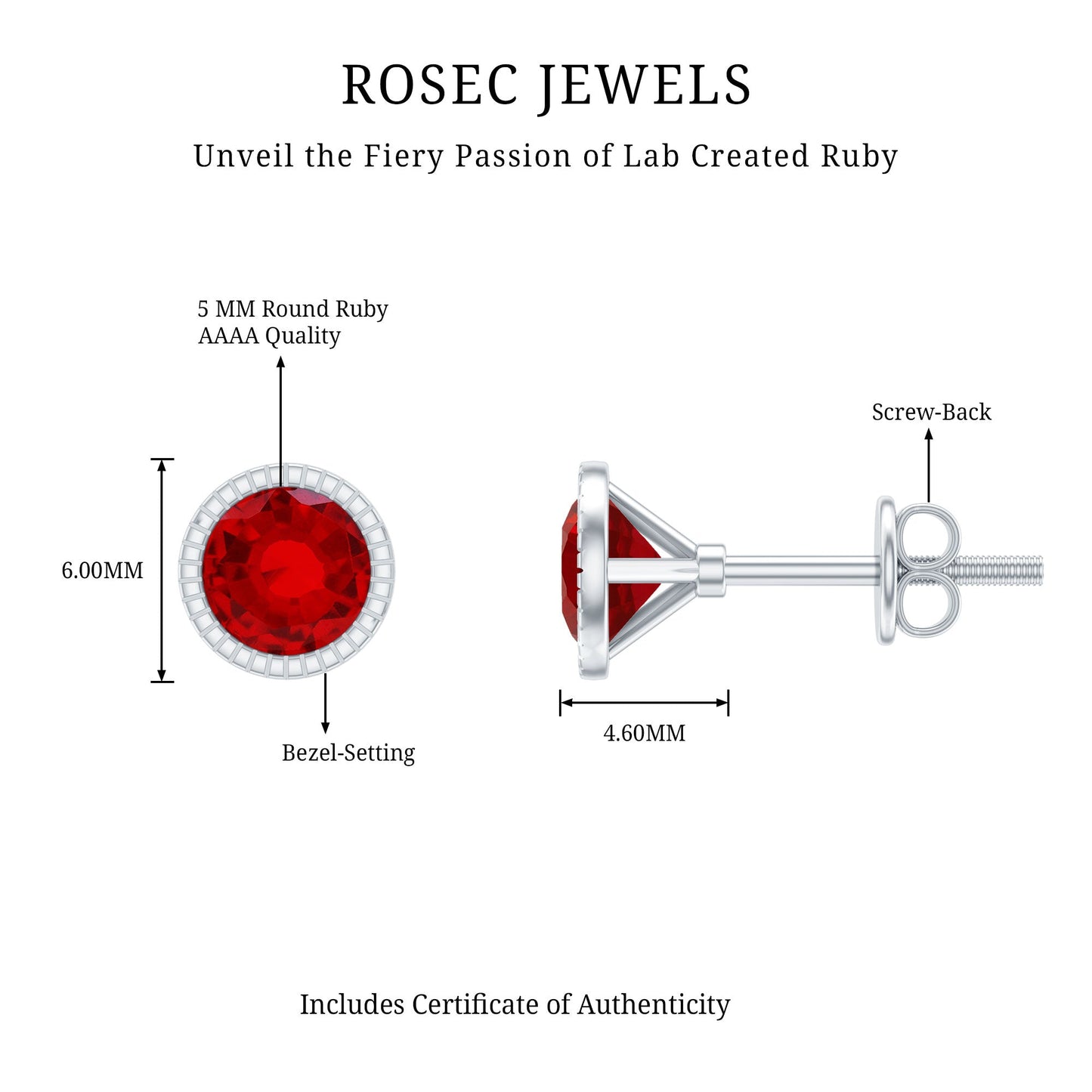 Round Cut Lab Created Ruby Martini Stud Earrings