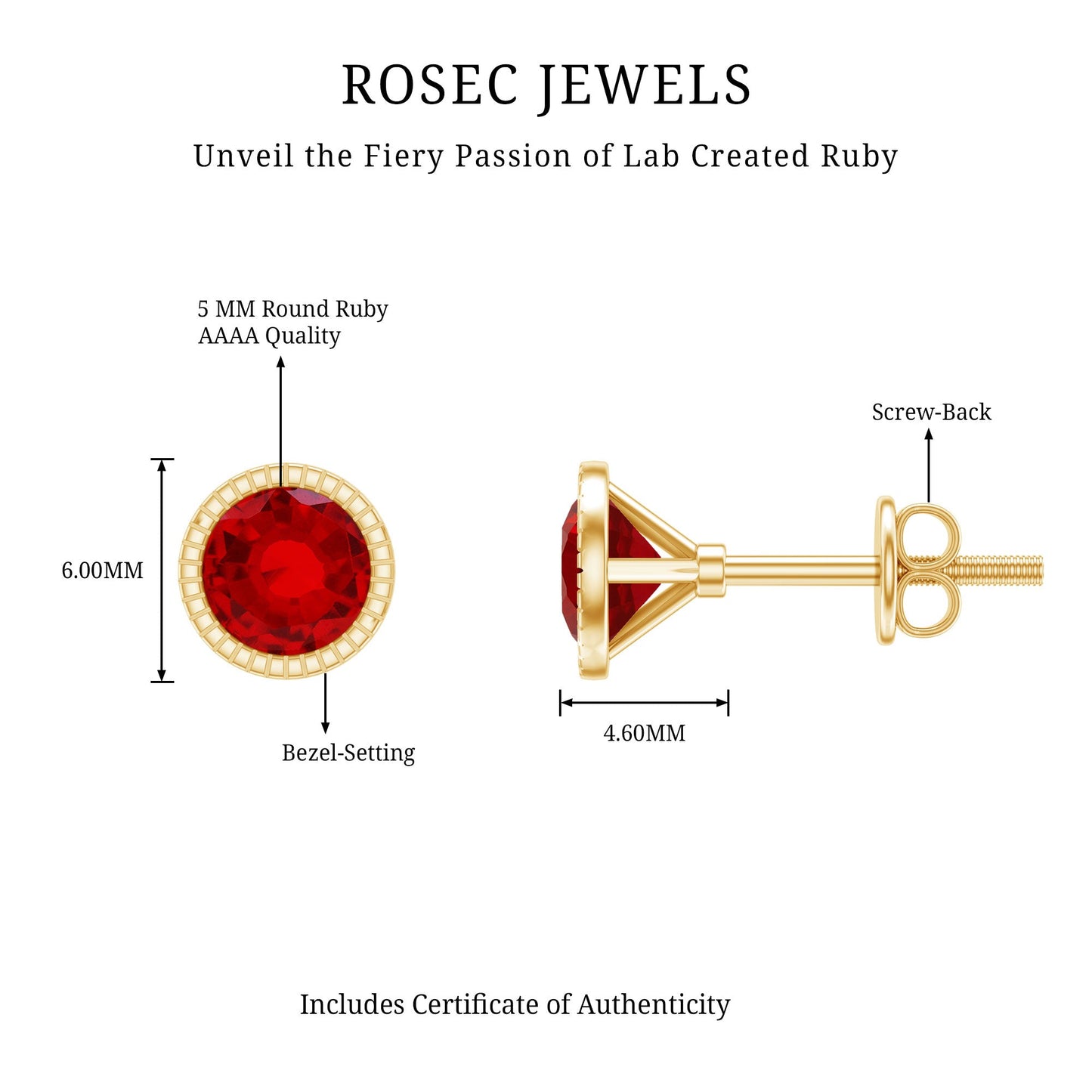Round Cut Lab Created Ruby Martini Stud Earrings