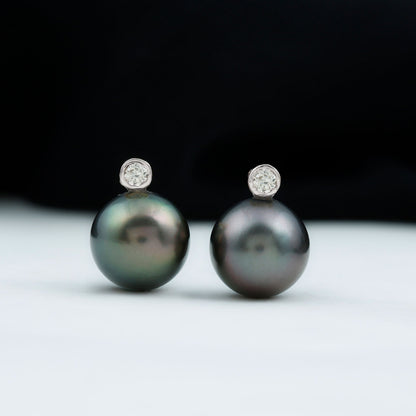 Genuine Tahitian Black Pearl Stud Earrings For Women