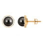 15 Carat Black Pearl and Diamond Halo Stud Earrings