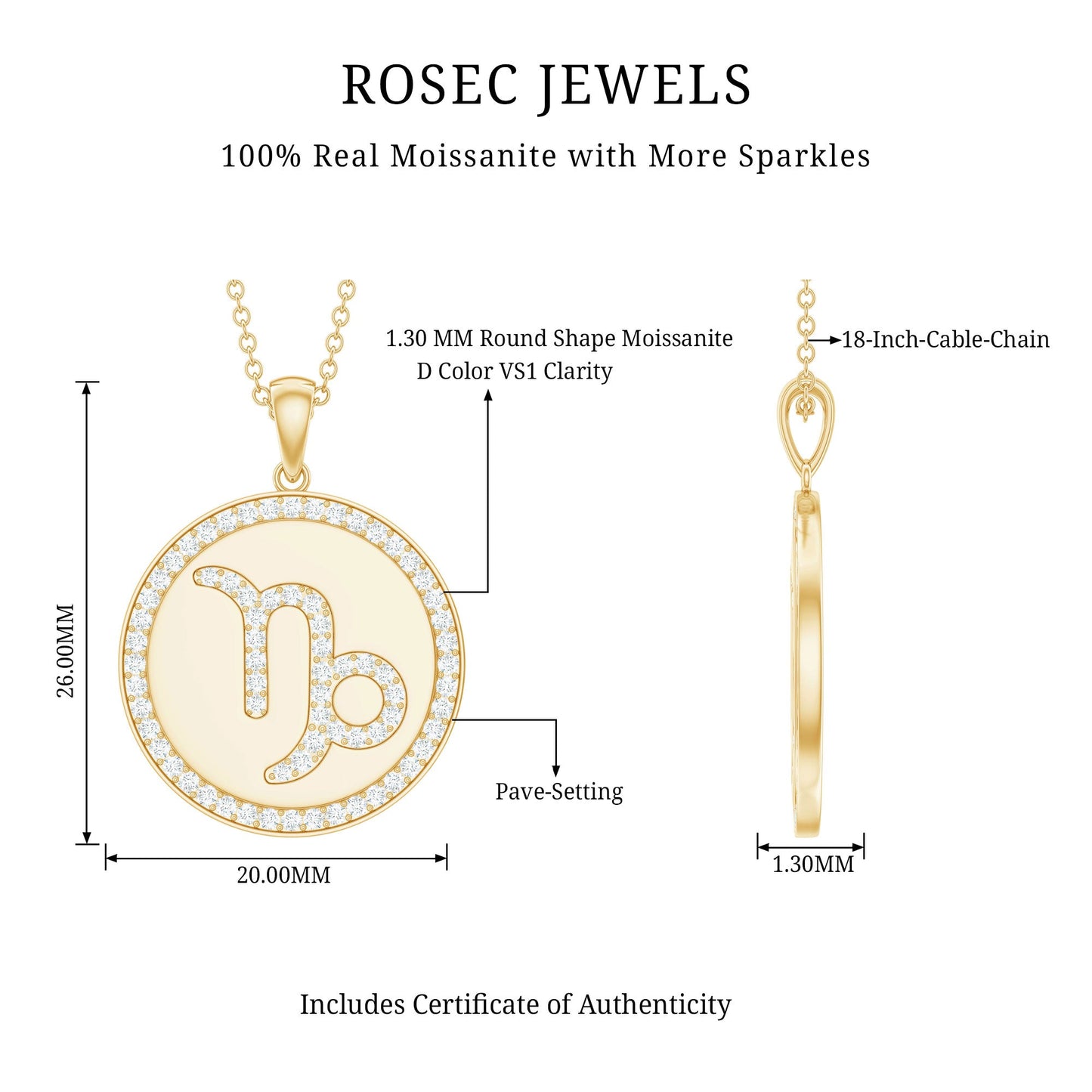 Certified Moissanite Disc Capricorn Zodiac Pendant