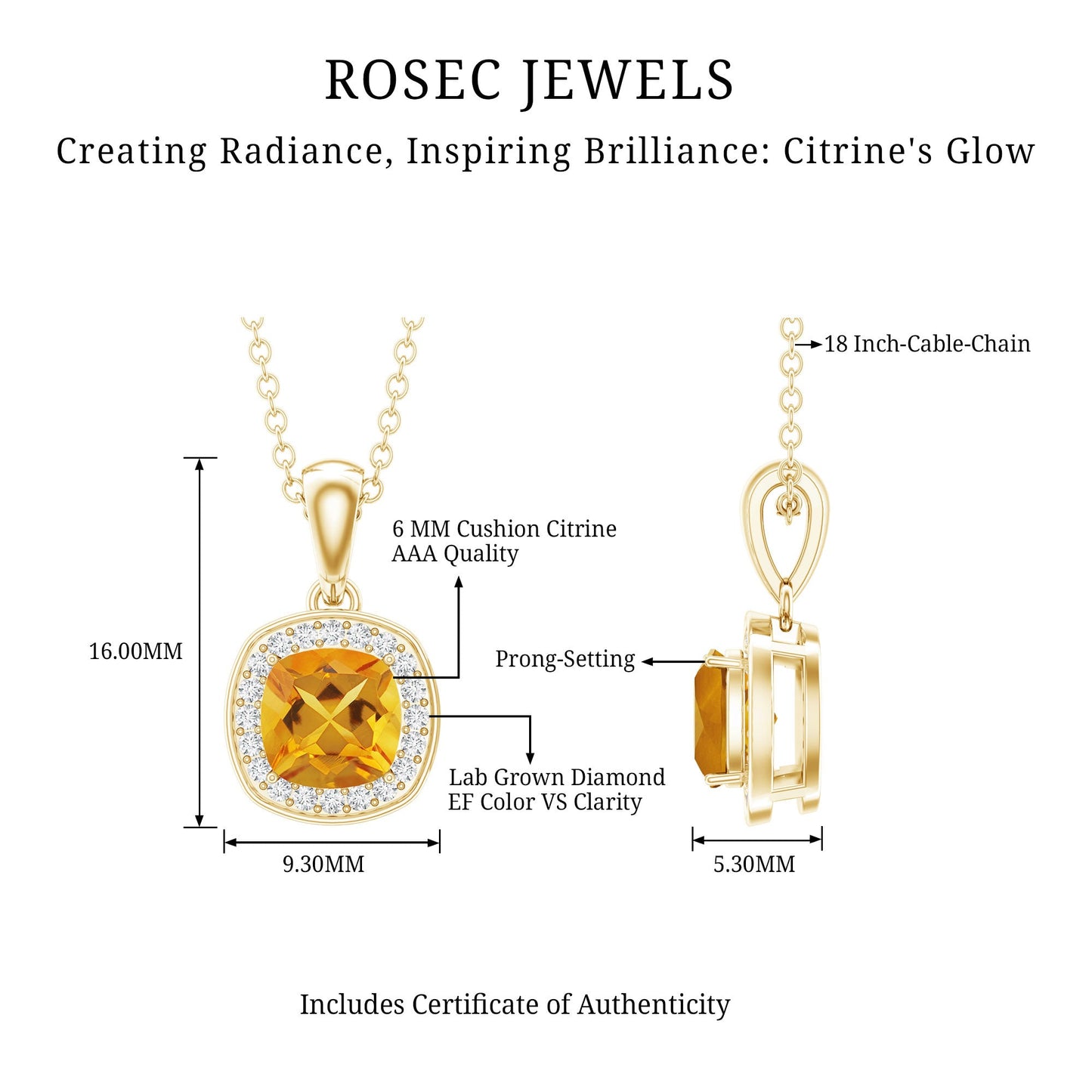 Natural 0.9 Carat Citrine and Diamond Halo Necklace with Silver Chain