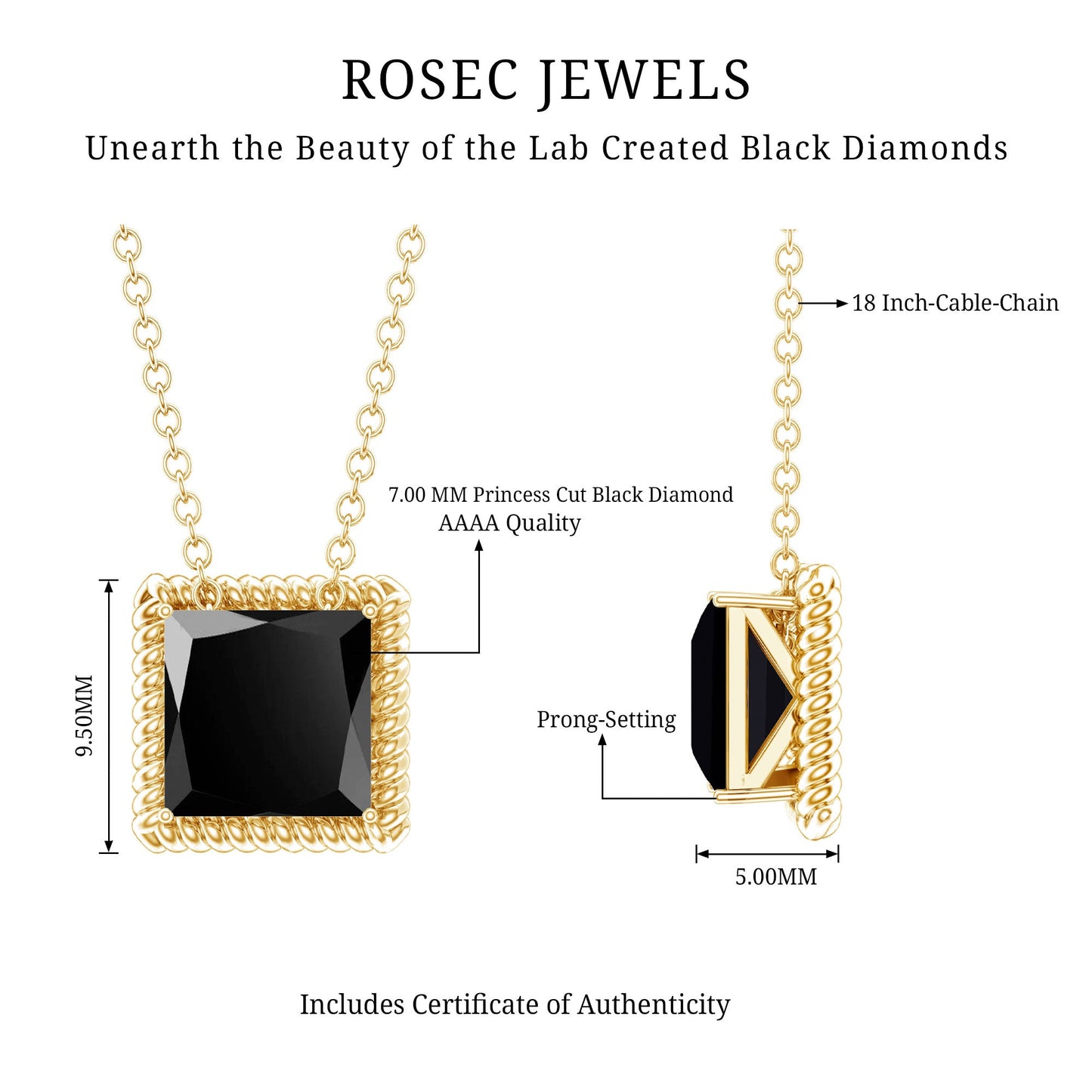 3 Carat Princess Cut Lab Created Black Diamond Necklace with Silver Chain