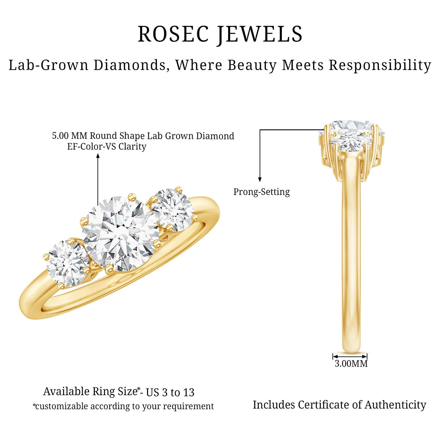 Certified Lab Grown Diamond Three Stone Engagement Ring for Her
